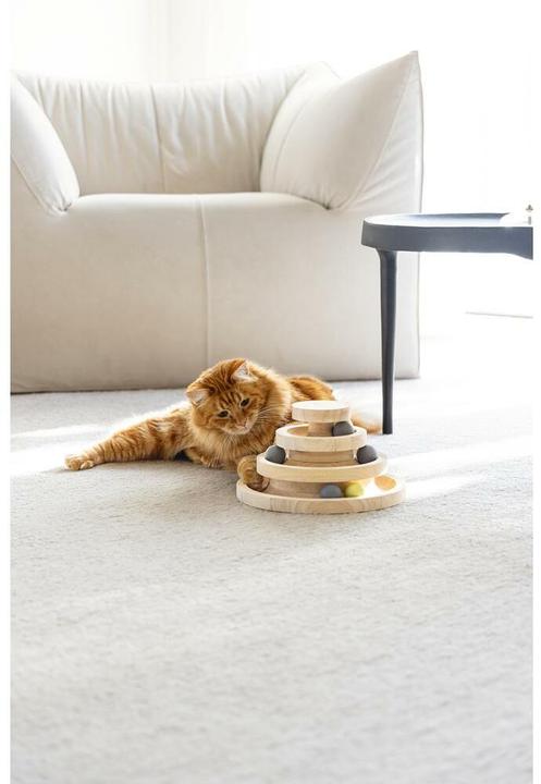 Produktbild Designed by Lotte Mia (Ballspielzeug Katze)