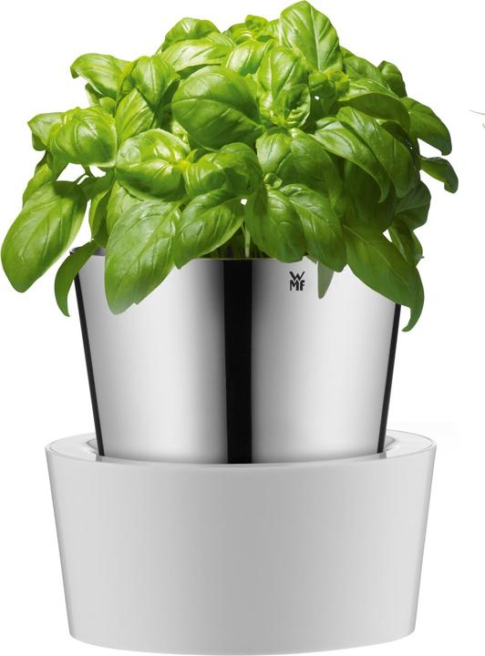 Actual product image Auerhahn Kräutertopf (12.80 cm)