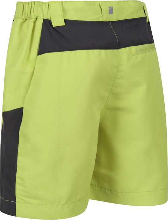 Produktbild Regatta Sorcer Mountain III Shorts (170, 176)