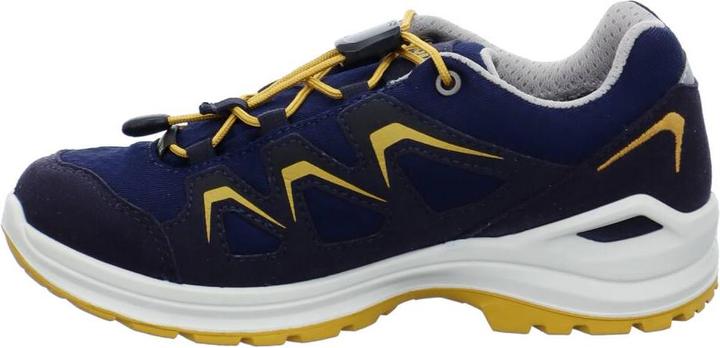 Produktbild Lowa Innox Evo GTX Lo (38)