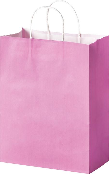 Produktbild Folia Papiertüten L BASIC, aus 110g/m² Kraftpapier