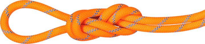 Produktbild Mammut 8.7 Alpine Sender Dry Rope (40 m)