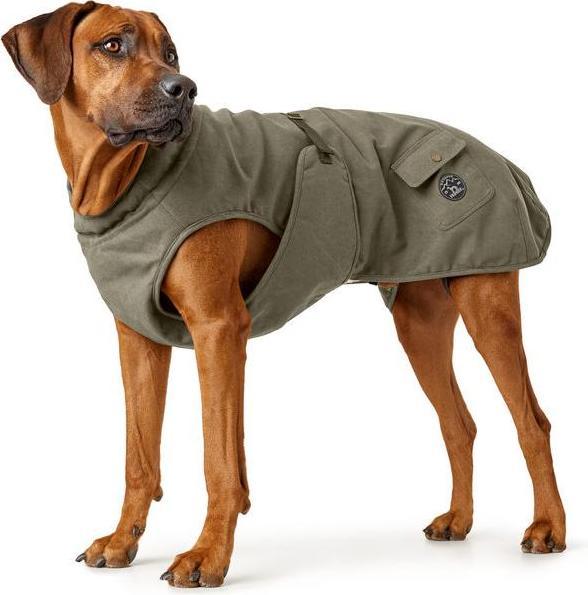 Actual product image Hunter Dog coat Uppsala Trend (60, Dog coat)