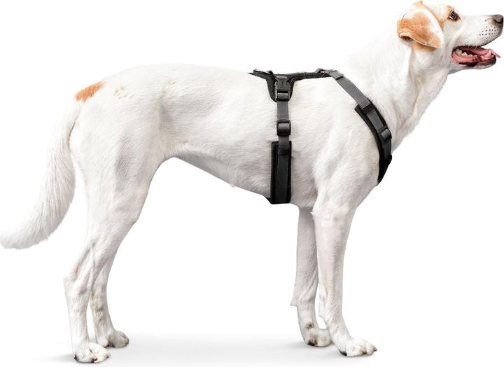 Produktbild Hunter Hundegeschirr Maldon Up (M, Hund, Allgemein)
