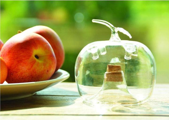 Actual product image Esschert Design Fruit fly trap apple