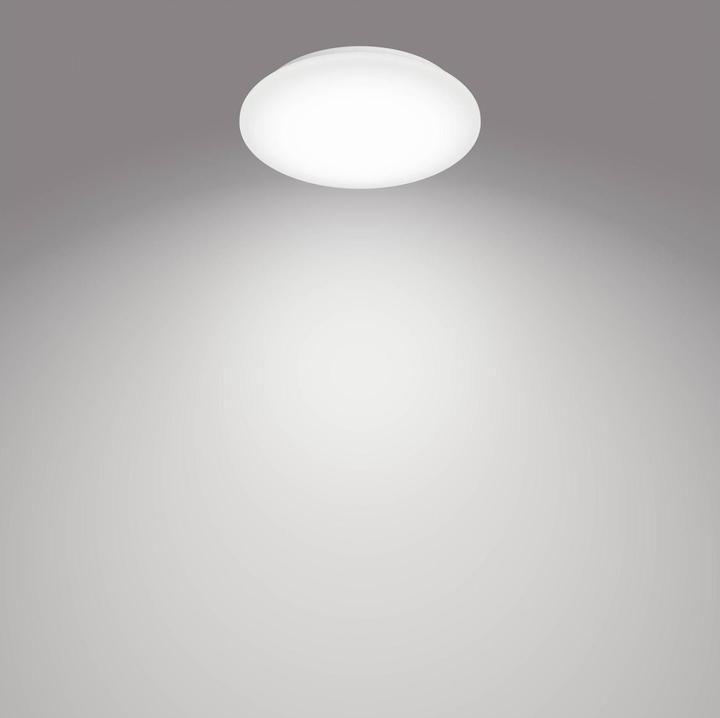 Actual product image Philips Moire (1100 lm)