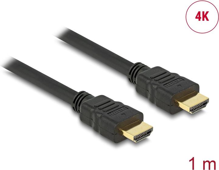 Delock HDMI (Typ A) — HDMI (Typ A) (1 m, HDMI)