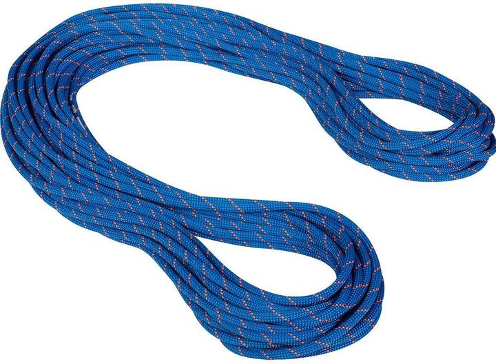 Mammut 9.5 Crag Dry climbing rope (80 m)