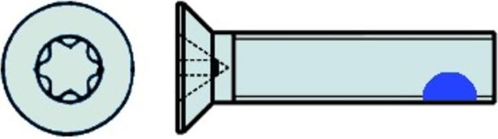 Image du produit Werkstarck Vis à métaux (1 Vis par pièce)