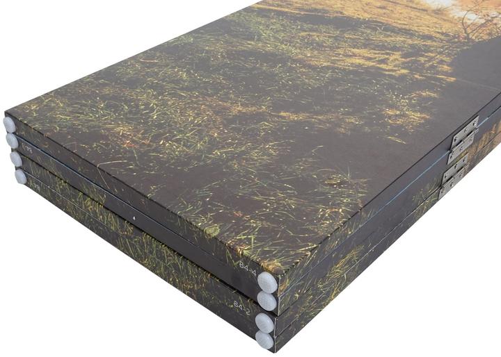 Immagine prodotto Mendler Foto Paravent con isolamento acustico HWC-L55, schermo per la privacy, 180x162cm Waldsee