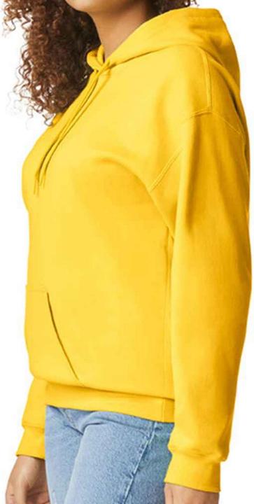 Image du produit Gildan - Sweat à capuche SOFTSTYLE - Adulte (S)