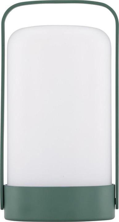 Produktbild Venture Home Fern (300 lm)
