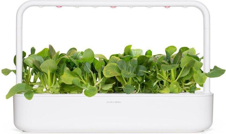 Produktbild Click and Grow Saatgut Pak Choi (Gemüsesamen)