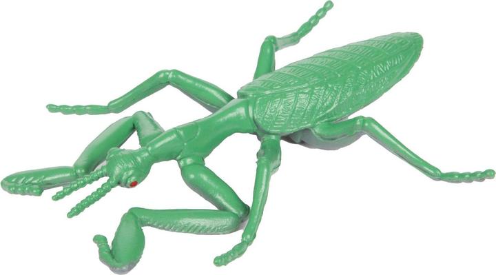 Actual product image Toi-Toys Animal world, big, creepy insect
