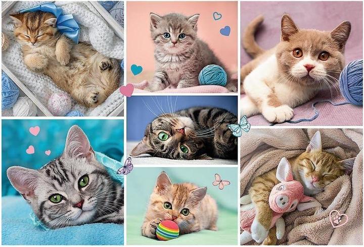 Immagine prodotto Trefl Mondo dei gatti puzzle (100 pezzi)