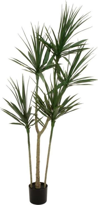 Produktbild Europalms Dracena, Kunstpflanze, grün, 170cm