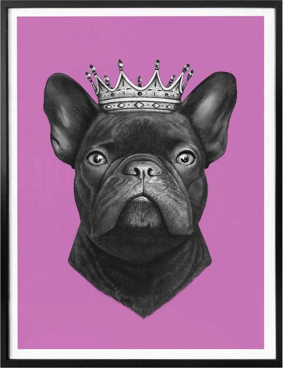 Image du produit Trenddeko King French Bulldog rose (100 x 120 cm)