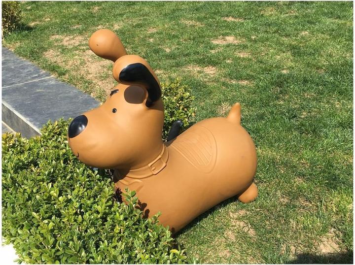 Actual product image Happy Hopperz Hopping animal