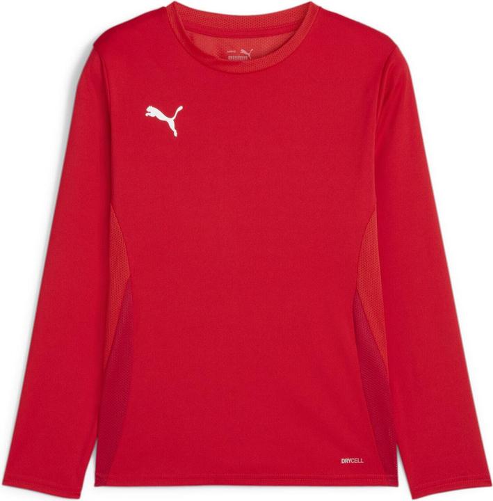 Actual product image Puma teamGOAL LS Jersey Jr (164)