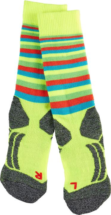 Actual product image Falke SK2 Stripes Kids (23 - 26)