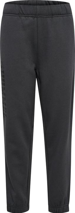 Image du produit hummel hmlALVIN PANTS (104)
