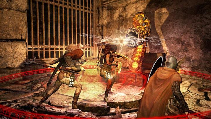 Actual product image Capcom Dragon's Dogma: Dark Arisen -US- (Switch, Switch Lite, Switch OLED, EN)