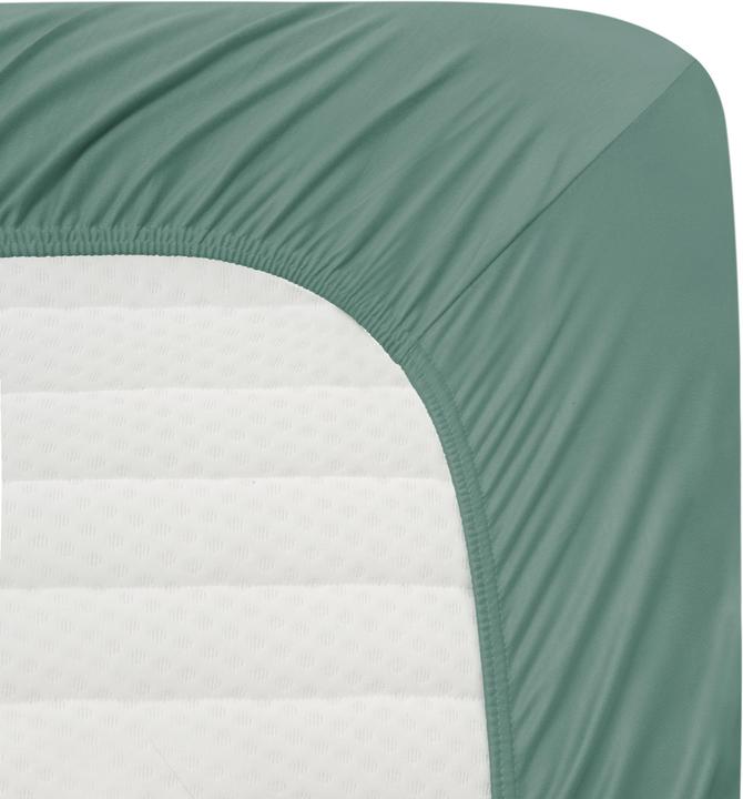 Actual product image Aspero 2 x Cotton fitted sheet - 8478 (100 x 200 x 25 cm, 90 x 200 x 25 cm)