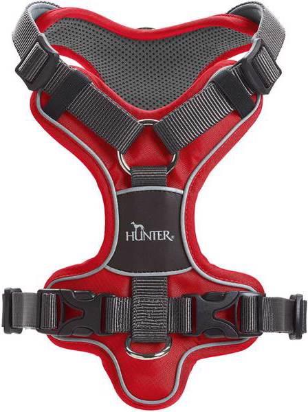 Actual product image Hunter Divo (L, Dog, General)