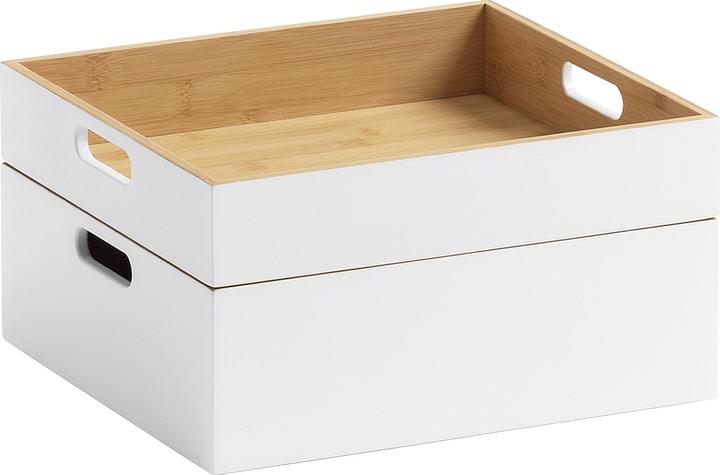 Immagine prodotto Zeller Present Scatole multiuso (30 x 27 x 10,5 cm, 5 l)
