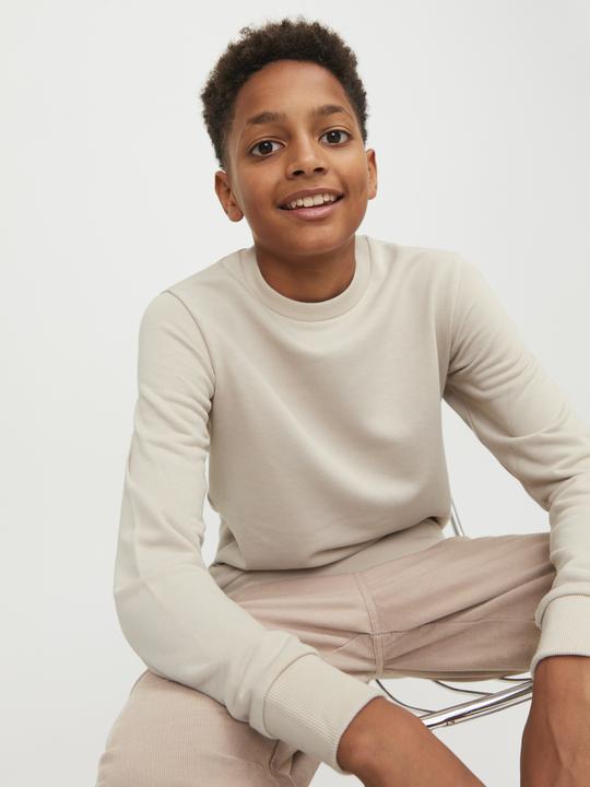 Image du produit Jack & Jones Sweat-shirt garçon (152)