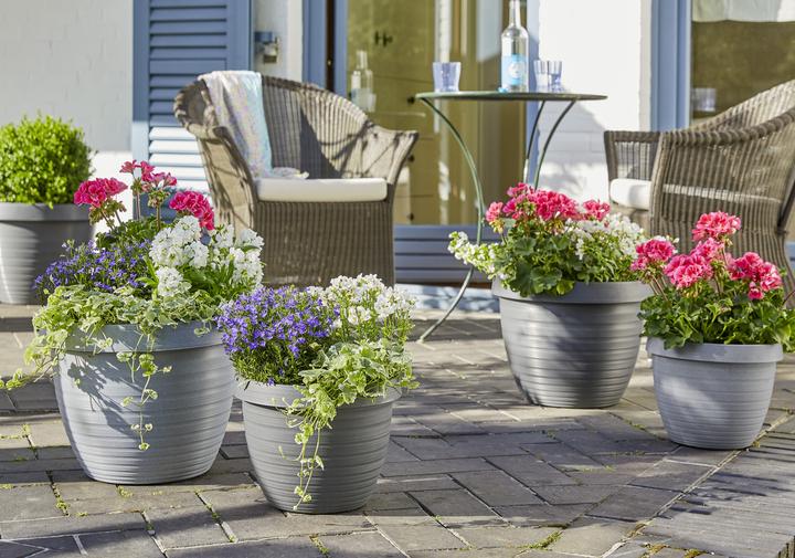 Produktbild Scheurich Country Star (33.90 cm)