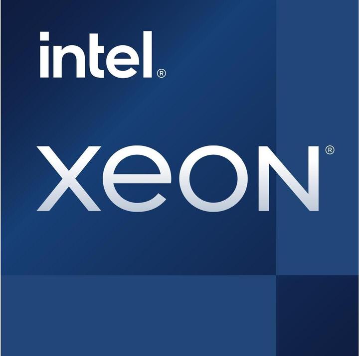 Intel CPU/Xeon E-2488 8 Core 3.2GHz LGA16A (LGA 1700, 3.20 GHz, 8 -Core)