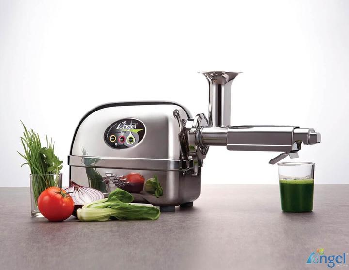 Image du produit Angel Juicers Ange 5500