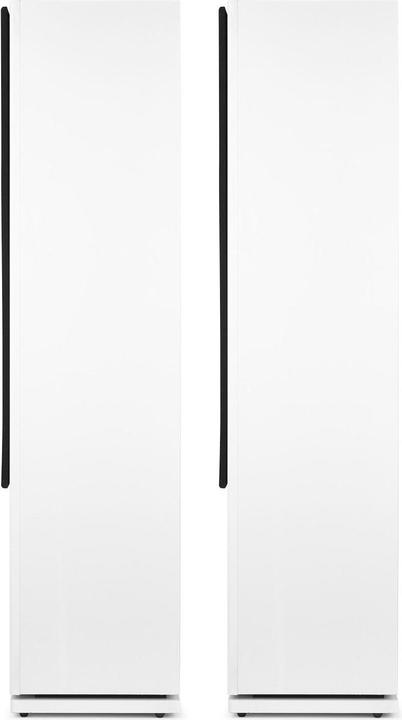 Actual product image Fenton SHF80W (1 pair, 250 W)