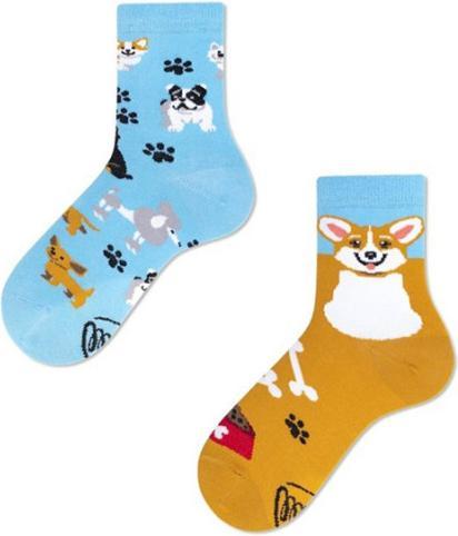 Produktbild Many Mornings Playful Dog (Einzelpack, 23 - 26)