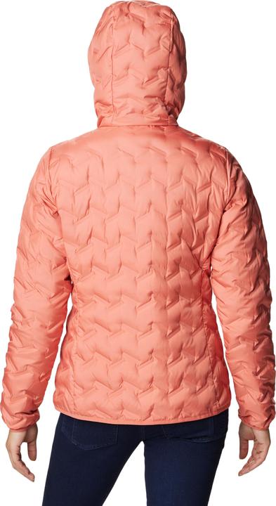Image du produit Columbia Delta Ridge Veste à capuche Down (S)