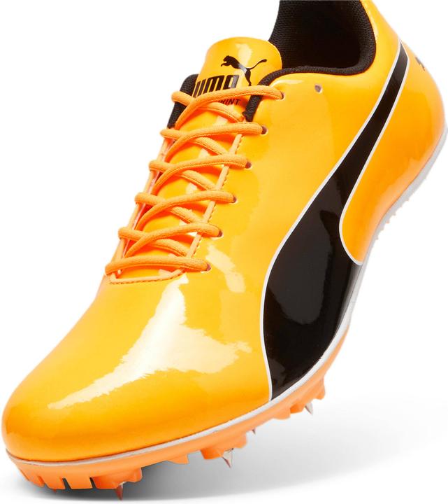 Image du produit Puma chaussures d'athlétisme evospeed sprint 14 (47)