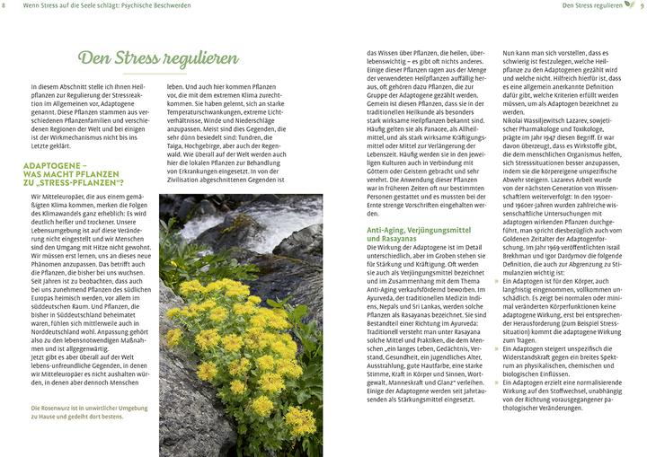 Actual product image Girsch:Mit Naturheilkunde Stress bewält (German, Michaela Girsch, 2024)