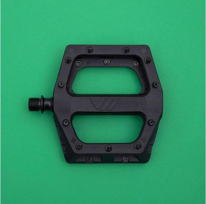Actual product image DMR V11
