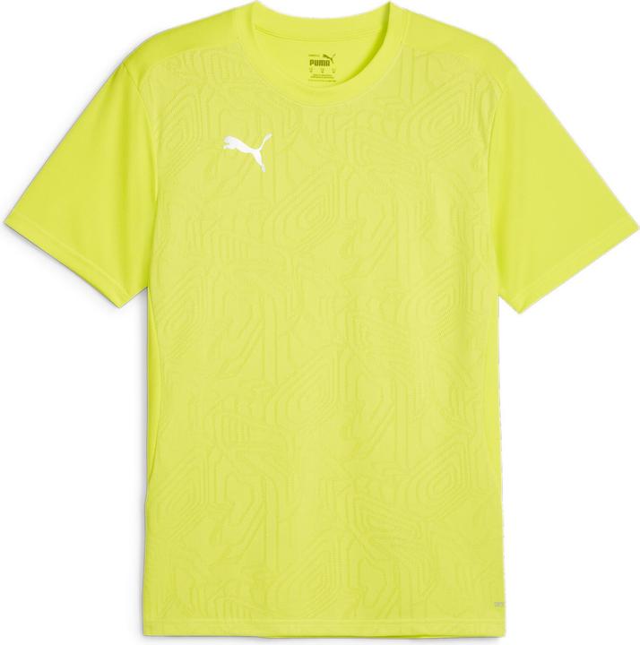 electriclimepumasilver