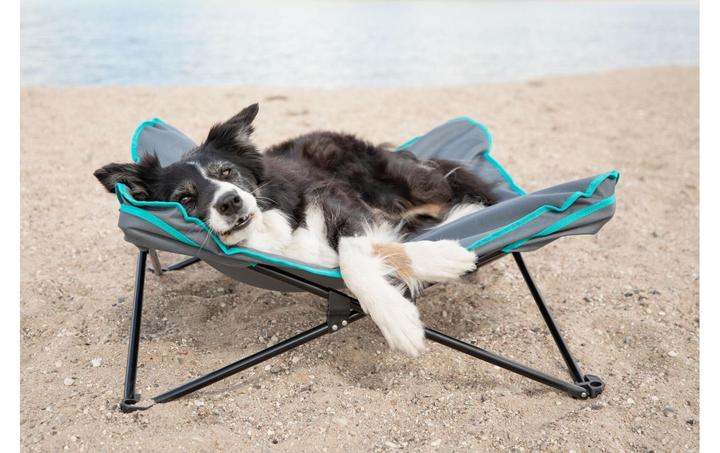 Actual product image Trixie Camping Bed, up to 35 kg, 88 x 32 cm, Dark Grey/Petrol (Dog)