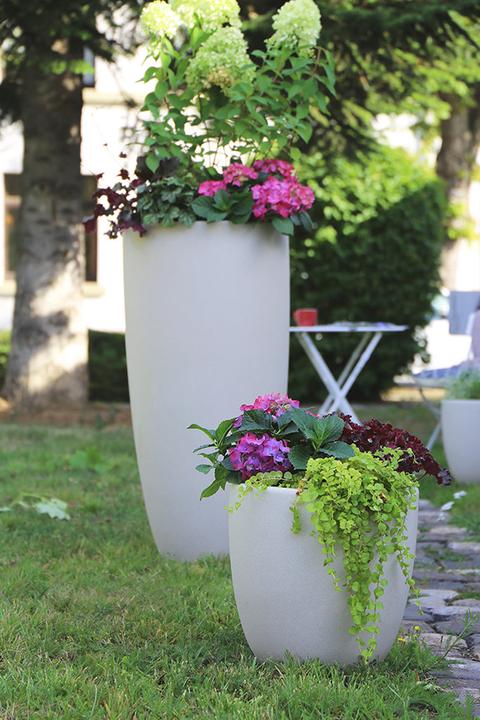 Immagine prodotto 8 seasons design Pentola curvy lucida XL (49 cm)