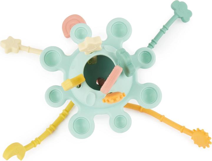 Actual product image Bieco Montessori toy Eucalyptu