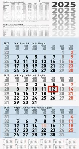 3-Monatskalender Wandkalender 30x56cm einteilig 2025 (30 x 56 cm, Kein Einband, Englisch, Französisch, Italienisch, Spanisch, Deutsch)