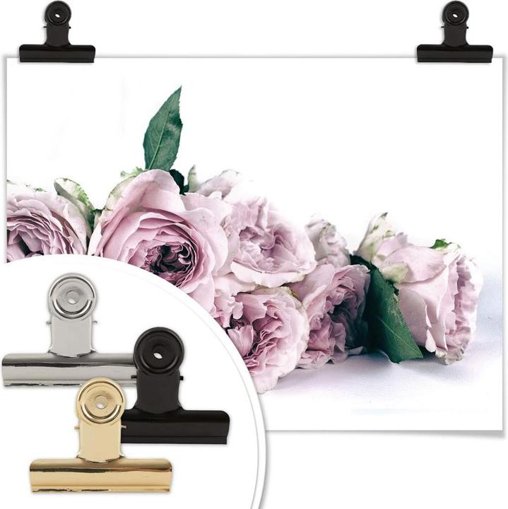 Produktbild Trenddeko Violette Pfingstrosen (40 x 30 cm)