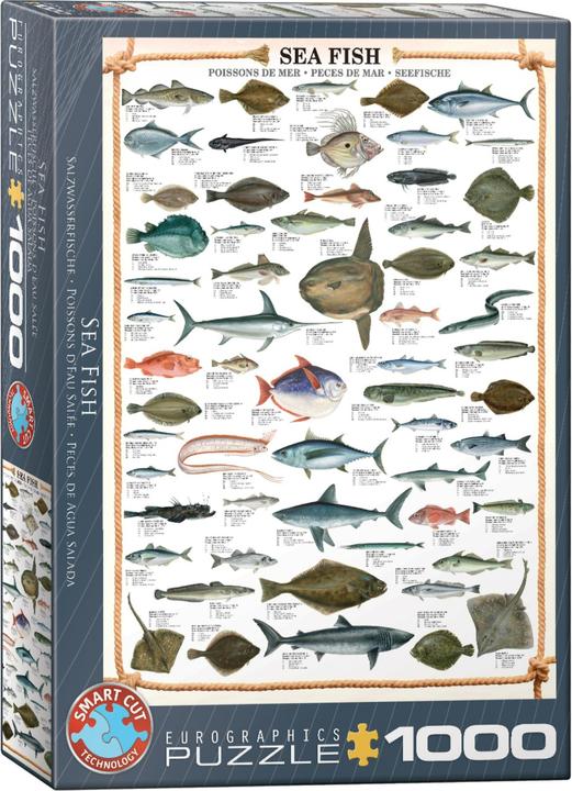 Produktbild Eurographics Seefische (1000 Teile)