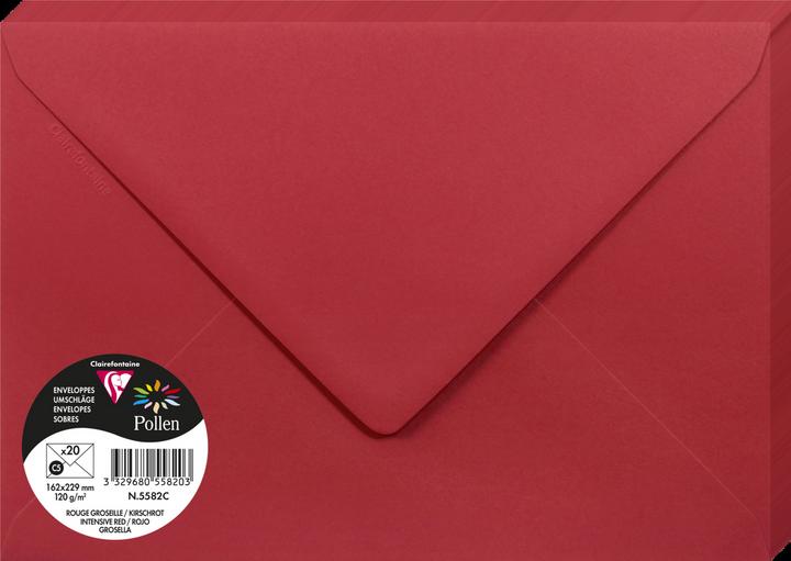 Actual product image Pollen Envelopes (162 x 229 mm, 20 x)