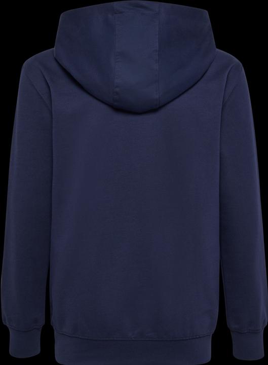 Actual product image hummel HMLGO 2.0 HOODIE KIDS (152)