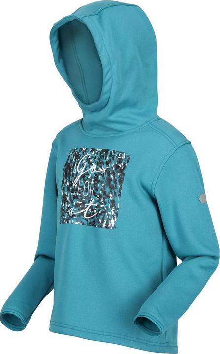 Image du produit Regatta Sweat à capuche Highton (146, 152)