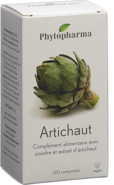 Actual product image Phytopharma Artichoke (120 Piece, Pills, 120 g)